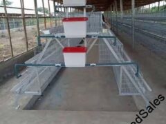 Chicken cage and other Poultry equipments