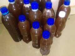 Fresh undiluted honey for sale