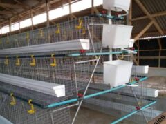 Best quality Poultry Cages and repair Services