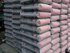 Dangote cement for sale