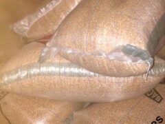 Yellow Maize for sale