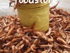 Crayfish and other Fishes for sale