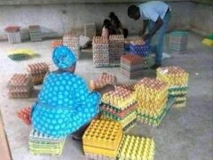 Cheap Crates of Eggs for sale