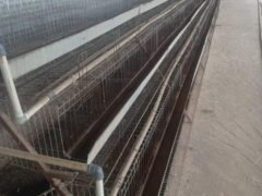 96 capacity poultry birds cage for sale