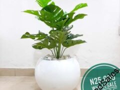 Artificial Plant in Fiberglass Flower pot