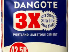 Buy dan-gote cement from us