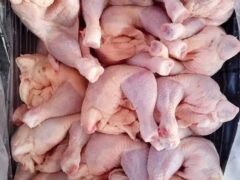 Broilers and rabbits for sale