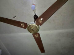 OX Ceiling Fan
