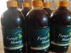 Pure honey from wild Bees for sale